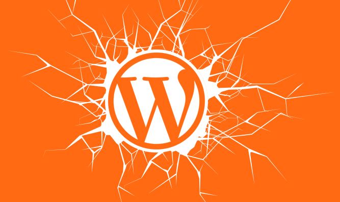 ‫ رفع نقص XSS در WORDPRESS